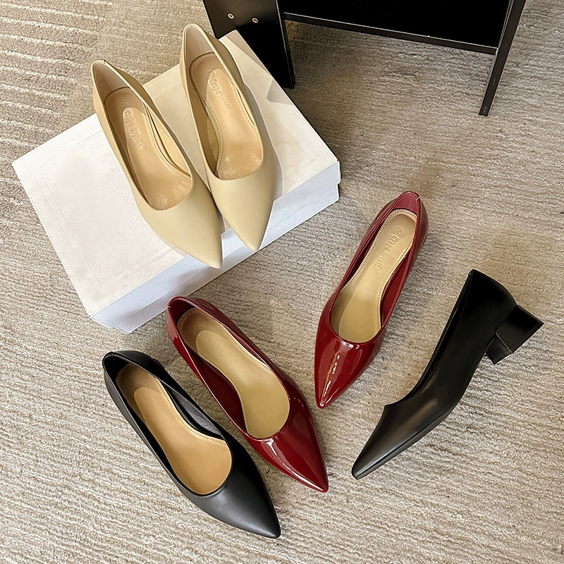 New Spring Pointed Toe Low Heel Dress Shoes for Women Office